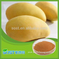 Supplying pure natural mango juice powder with competitive price